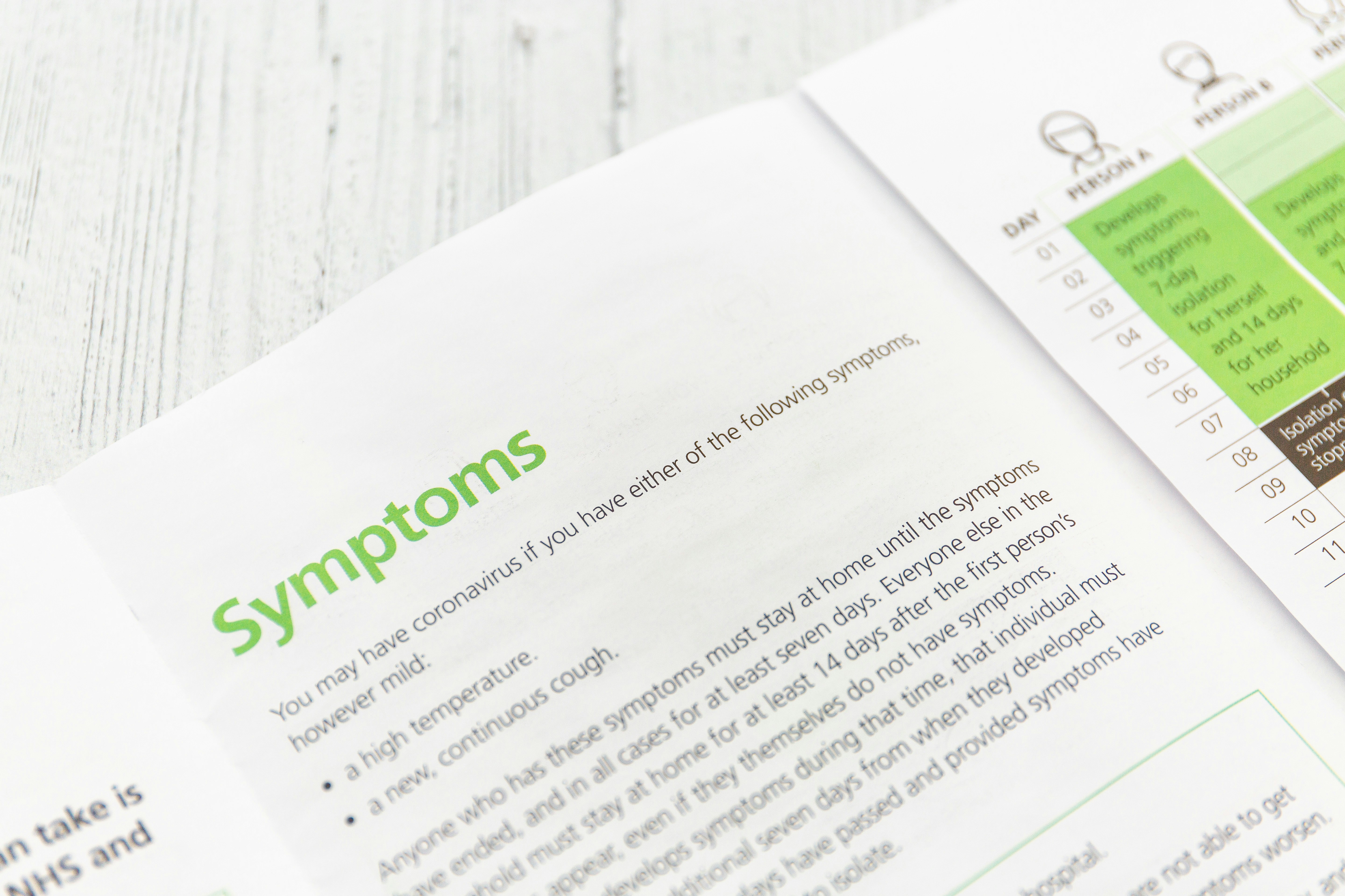 Illustration of a well-structured study guide with headings and bullet points