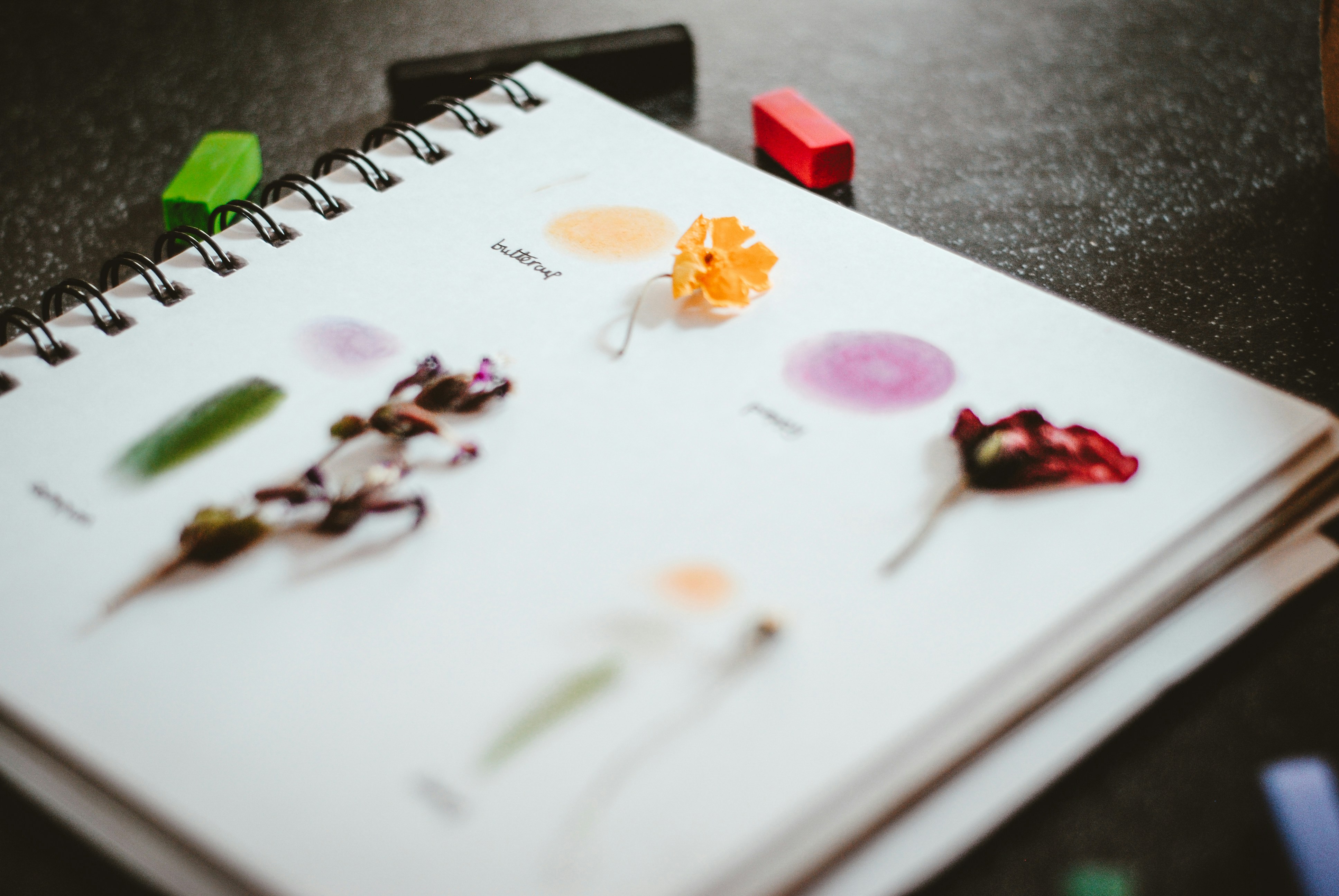 Customizing a study guide with colors and symbols