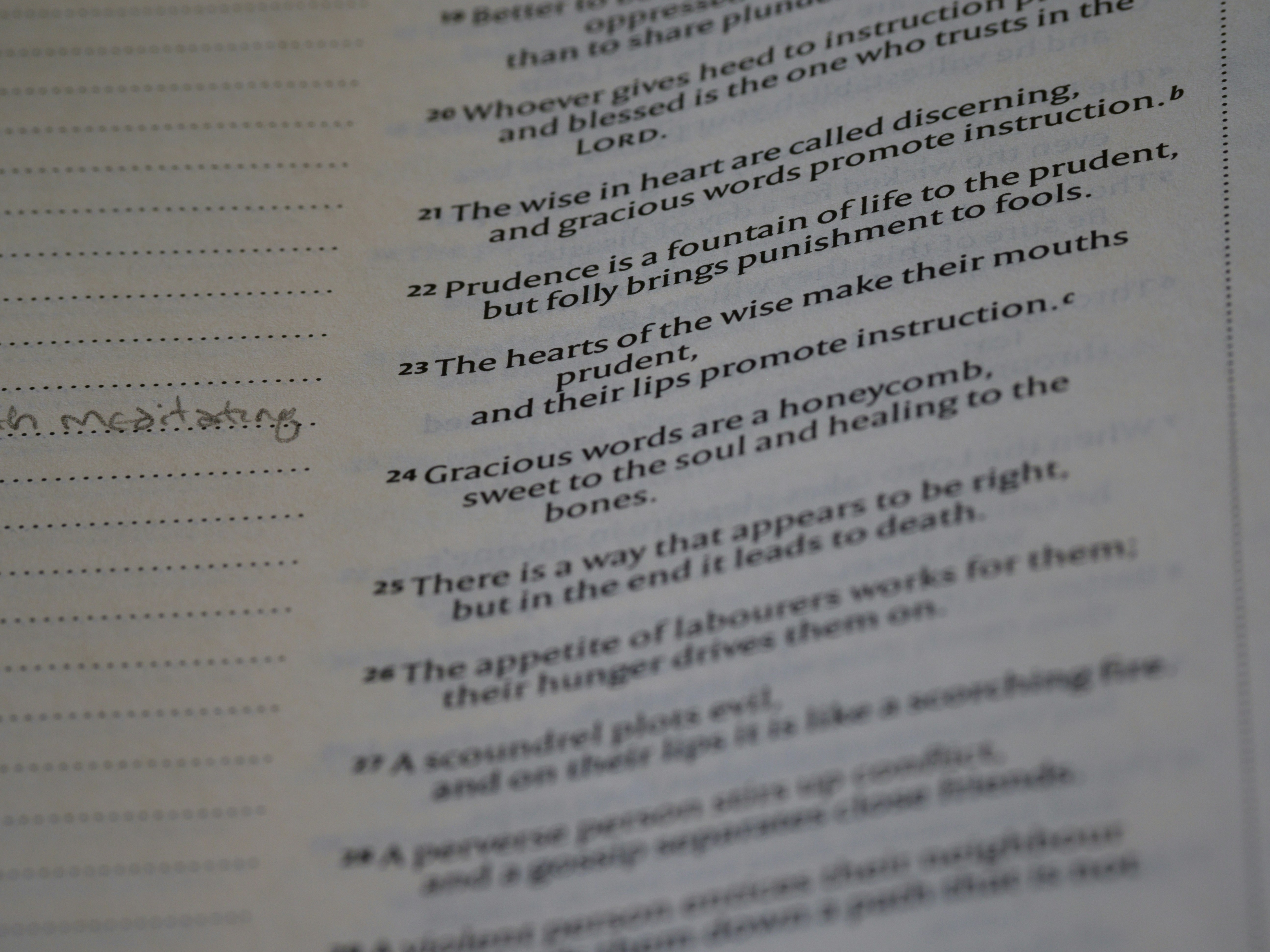 Structured Study Guide Example with Headings and Bullet Points